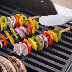 2 Burner Liquid Propane Grill Black